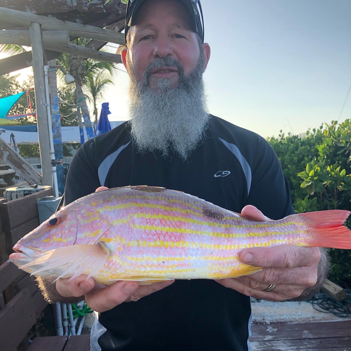 Florida offshore fishing marco island