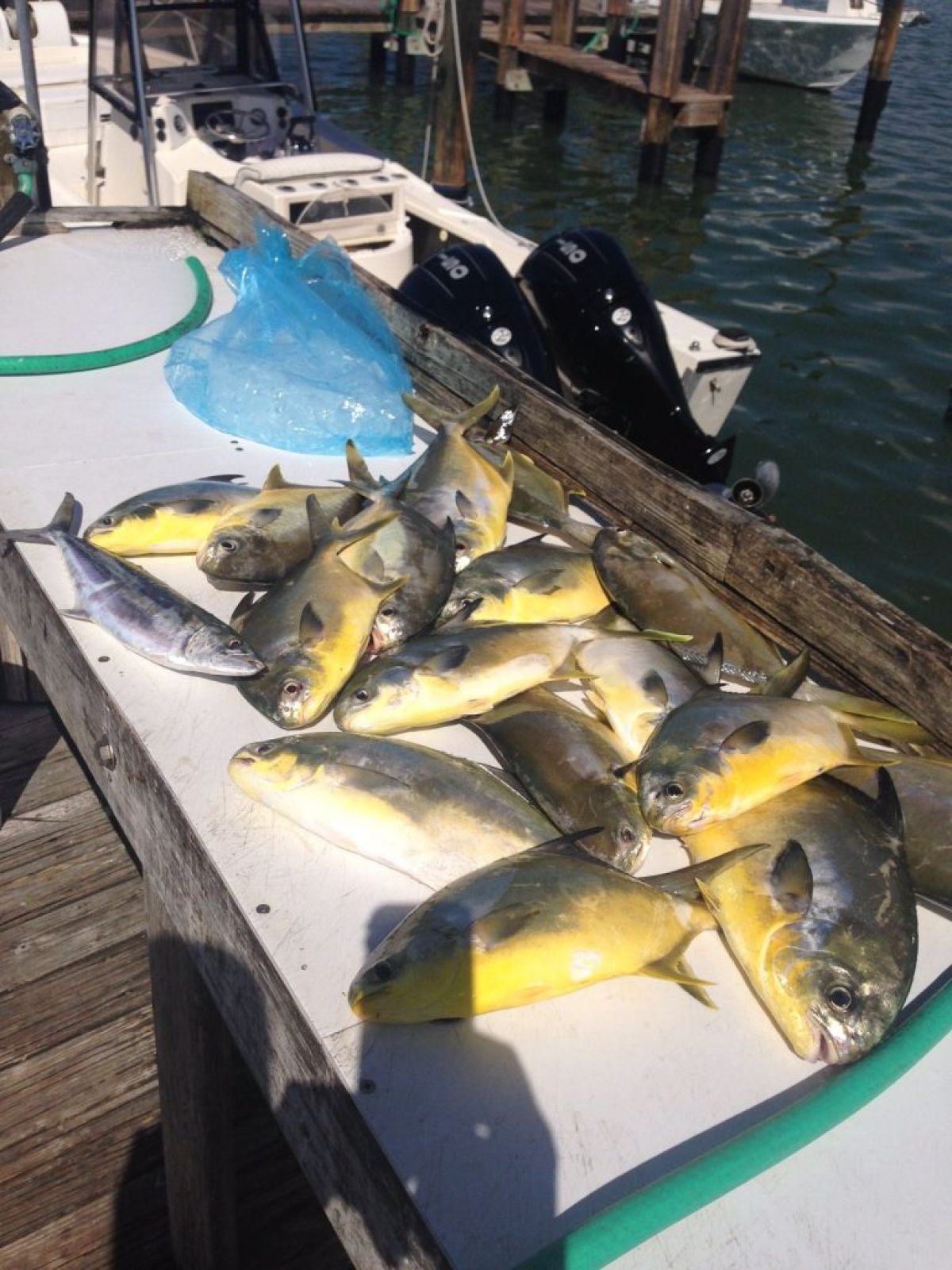 Fishing in Marco Island and Goodland fl