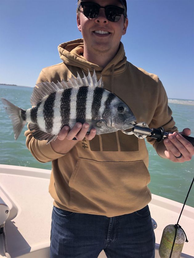 Sheepshead